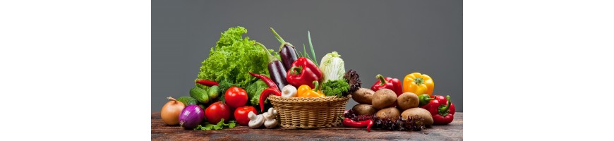 Venta de todo tipo de  verduras y hortalizas